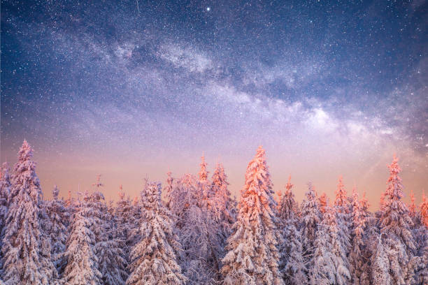 istock magical winter snow covered tree. Winter landscape. 879672192