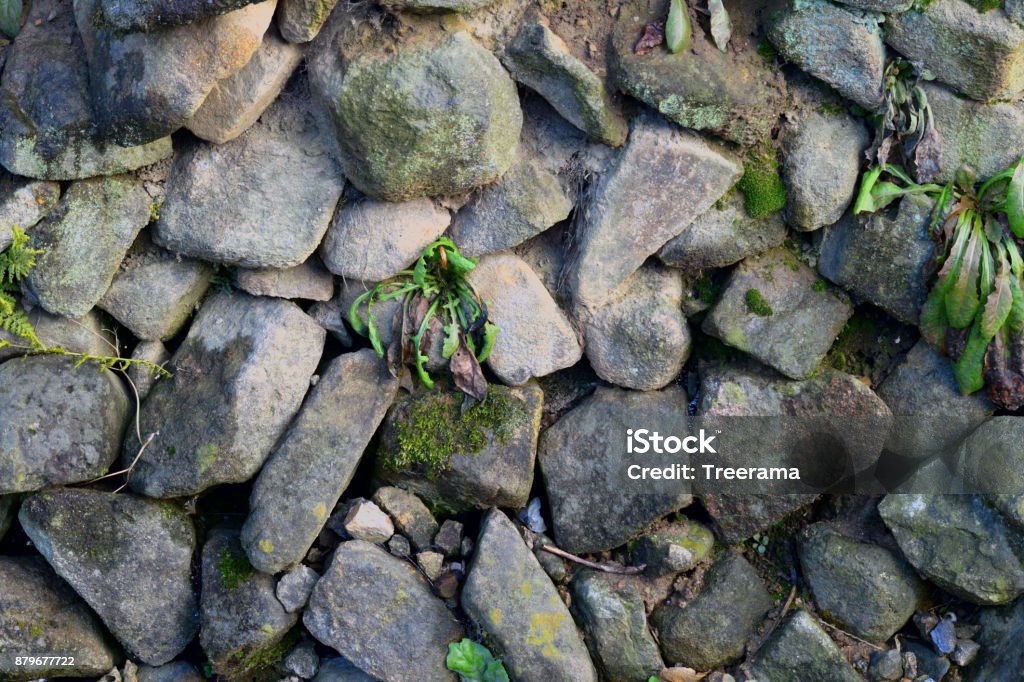 Texture, Stone walls built in the old way, plants growing in the gaps Stone walls built in the old way, plants growing in the gaps Backgrounds Stock Photo