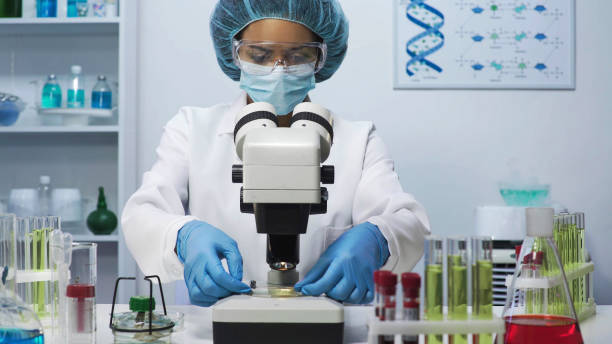 istock Experienced laboratory scientist doing medical research, looking into microscope 879685058