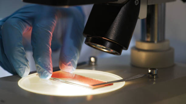 scienziato medico che studia il campione di sangue al microscopio, ricerca biochimica - blood cell foto e immagini stock