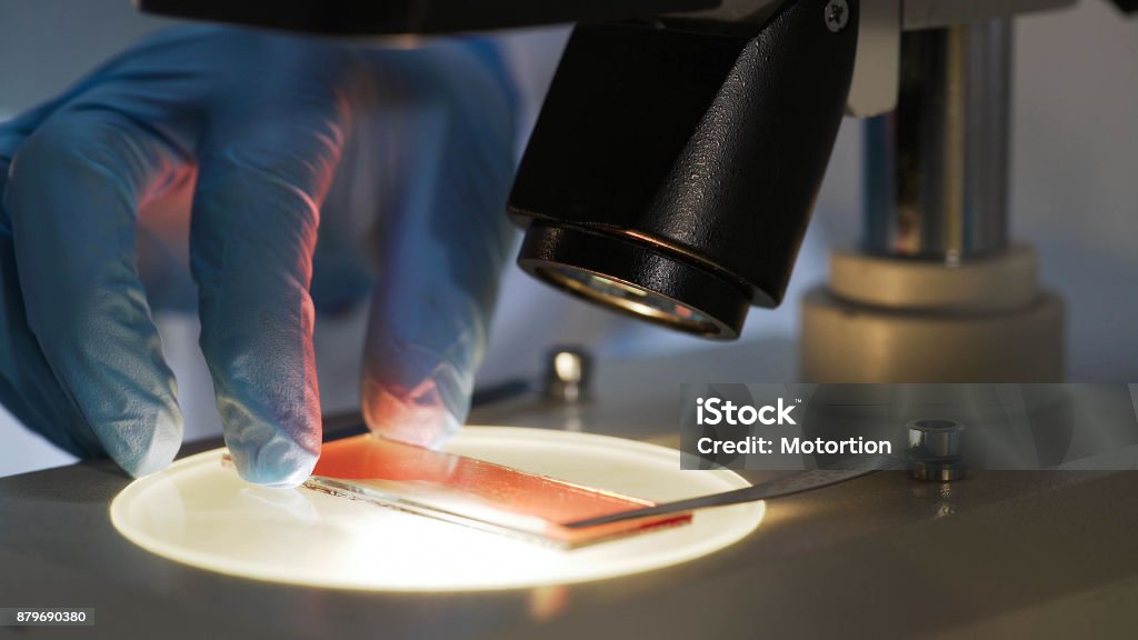Medical scientist studying blood sample under microscope, biochemical research Blood Stock Photo