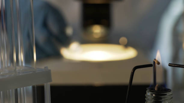 istock Biochemical analyses, close-up view of laboratory equipment, medic working 879690836