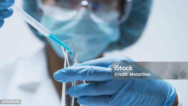 Female Chemist Adds Drops Of Blue Substance Into Test Tubes Lab Research Stock Photo - Download Image Now