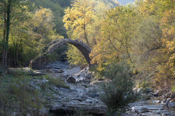istock The arch bridge in mountains, Alps, Italy 879696548