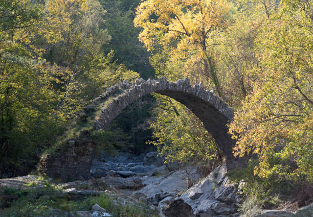 istock The arch bridge in mountains, Alps, Italy 879696632