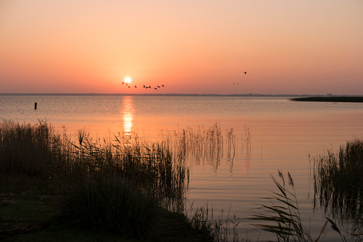 Sunrise at the Bodden on Fischland in Germany