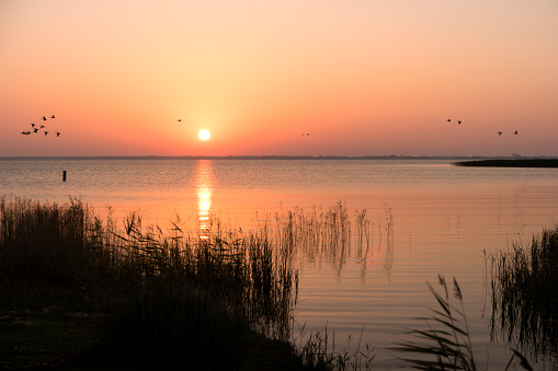 Sunrise at the Bodden on Fischland in Germany