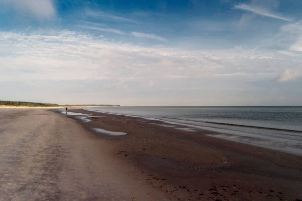 istock Baltic Sea Coast near Ahrenshoop in Germany 879715252