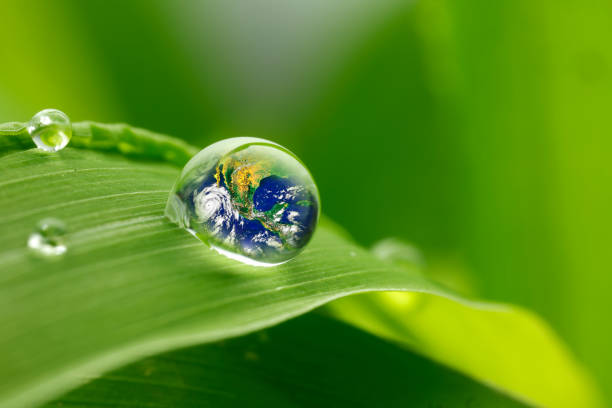 istock leaf with rain droplets - Recovery earth concept 879719612