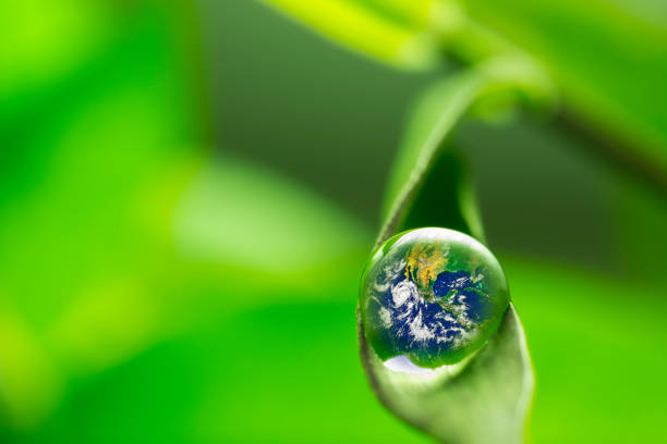 istock leaf with rain droplets - Recovery earth concept 879719654