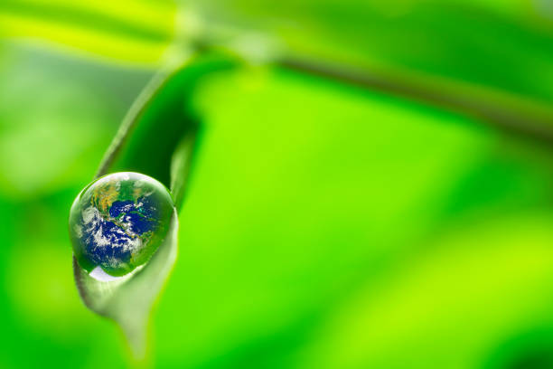 istock leaf with rain droplets - Recovery earth concept 879719972