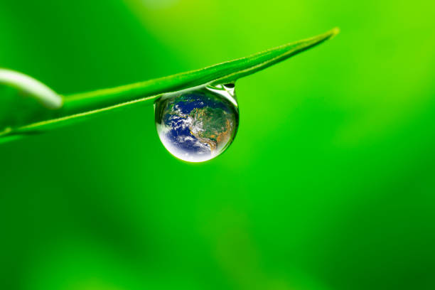 istock leaf with rain droplets - Recovery earth concept 879720334