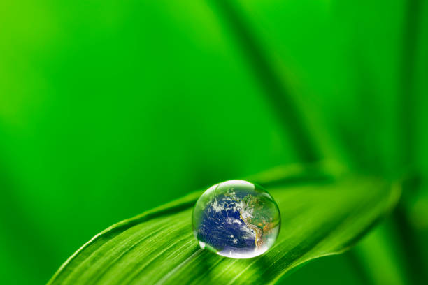 istock leaf with rain droplets - Recovery earth concept 879720396