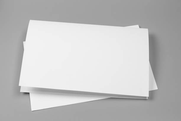 istock Blank portrait A4. brochure magazine isolated on gray, changeable background / white paper isolated on gray 879725882