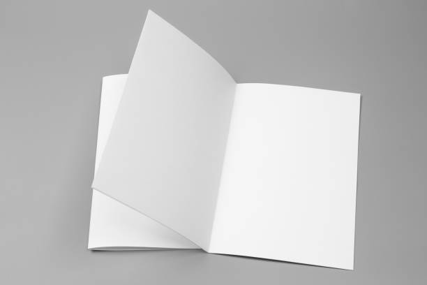 istock Blank portrait A4. brochure magazine isolated on gray, changeable background / white paper isolated on gray 879729986