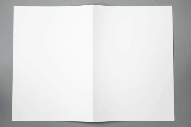 istock Blank portrait A4. brochure magazine isolated on gray, changeable background / white paper isolated on gray 879732066