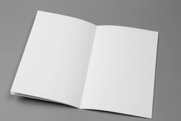 istock Blank portrait. changeable background / white paper isolated on gray. identity design, corporate templates, company style, set of booklets, blank white folding paper flyer 879732524