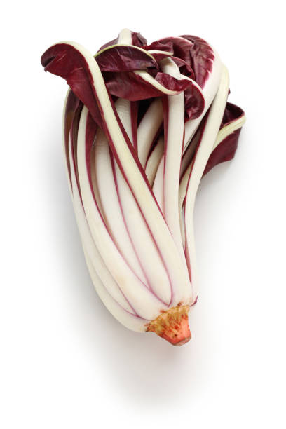 radicchio rosso di treviso tardivo, chicorée rouge italienne isolée sur fond blanc - radicchio photos et images de collection