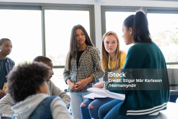 Multiethnic Students Discussing In Classroom Stock Photo - Download Image Now - Teenager, Discussion, Classroom