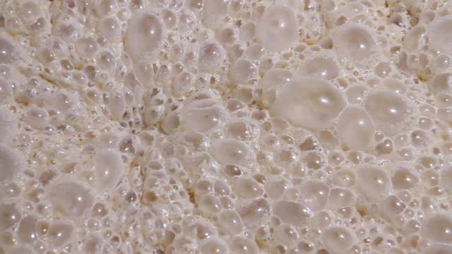 Fermentation of yeast ferment close-up