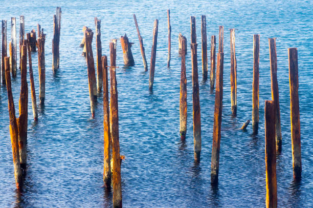 istock Pipes from the old pier in the water 879759612