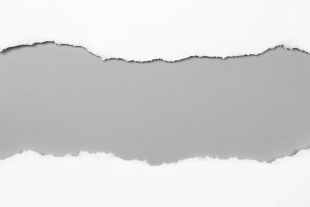 istock white torn paper on gray background. collection paper rip 879759856
