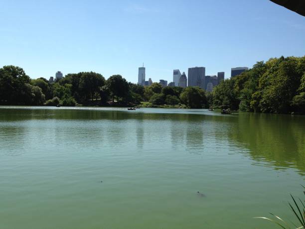istock Central Park Lake and NYC Skyline 879766582