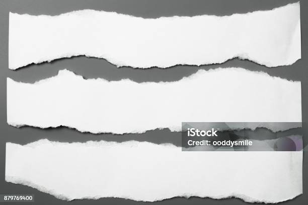 White Torn Paper On Gray Background Collection Paper Rip Stock Photo - Download Image Now