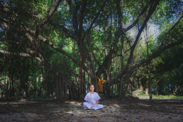kid on white clothing , practice sitting Meditation under the big tree with peace in mind