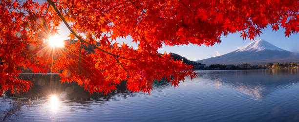 monte fuji in vista autunnale dal lago kawaguchiko - volcano mt fuji autumn lake foto e immagini stock