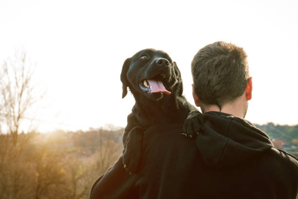 istock Rear view of a young man hug his dog 879776518