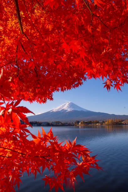 monte fuji in vista autunnale dal lago kawaguchiko - volcano mt fuji autumn lake foto e immagini stock