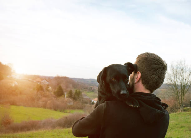 Dog, Embracing, Laughing, Pets, Smiling,labrador