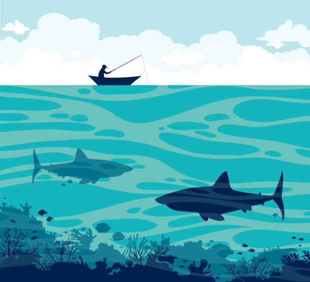рыболов и акулы на море. - wildlife aquatic beauty in nature tropical climate stock illustrations