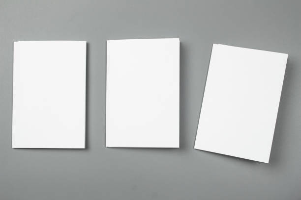istock Blank portrait. changeable background / white paper isolated on gray. identity design, corporate templates, company style, set of booklets, blank white folding paper flyer 879788758
