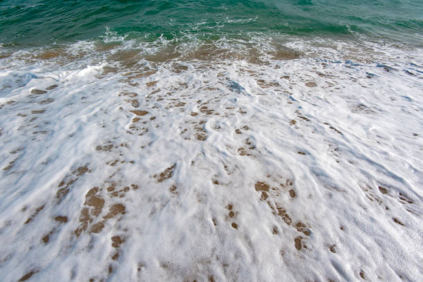 istock Ocean wave and foam on sandy beach, beach background 879789008