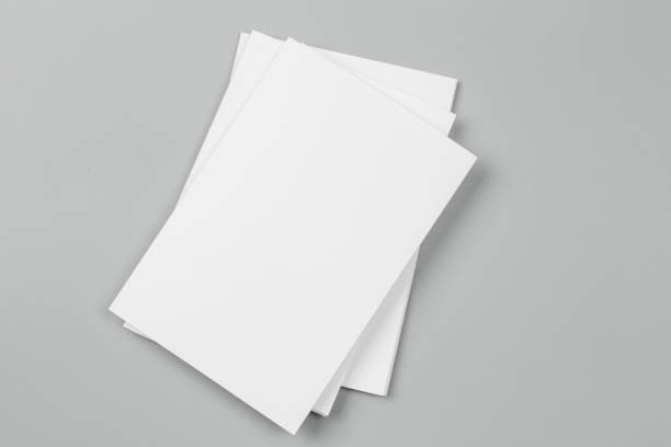 istock Blank portrait. changeable background / white paper isolated on gray. identity design, corporate templates, company style, set of booklets, blank white folding paper flyer 879793572
