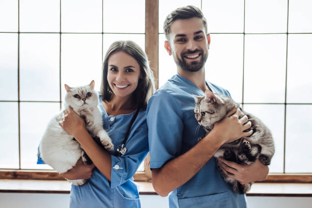 istock Doctor veterinarian at clinic. 879798276