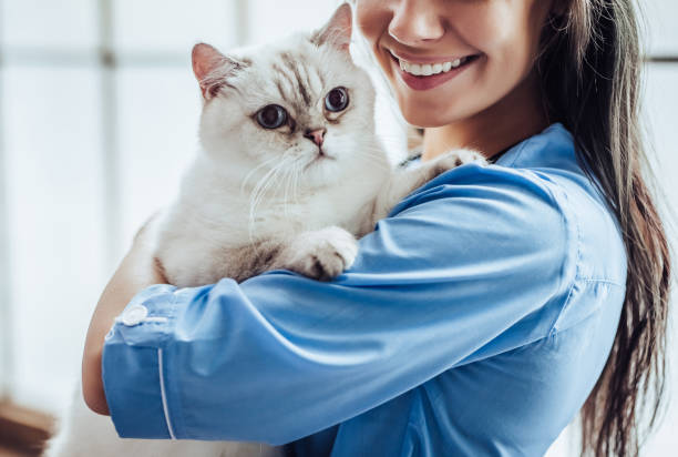 istock Doctor veterinarian at clinic. 879798278