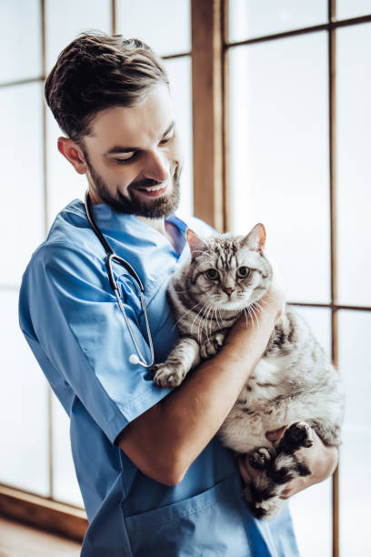 Doctor veterinarian at clinic.