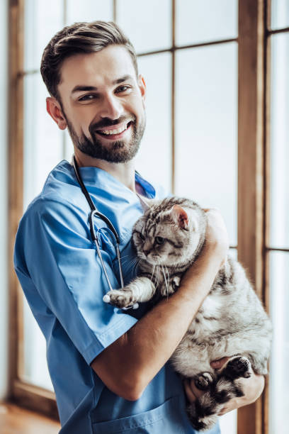 istock Doctor veterinarian at clinic. 879798436