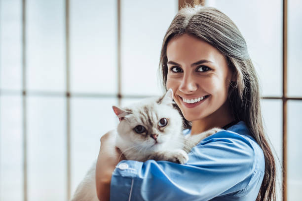 istock Doctor veterinarian at clinic. 879798438