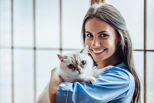 Beautiful female doctor veterinarian is holding cute white cat on hands at vet clinic, smiling and looking at camera.