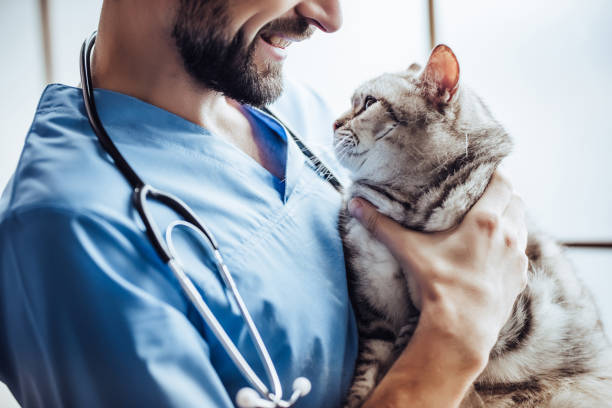 istock Doctor veterinarian at clinic. 879798472