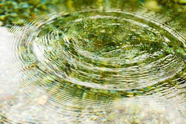 istock Circles on the smooth surface of the water on the river 879801644