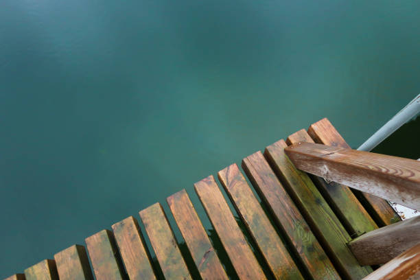 istock wooden texture on a green lake. Copy space 879809622