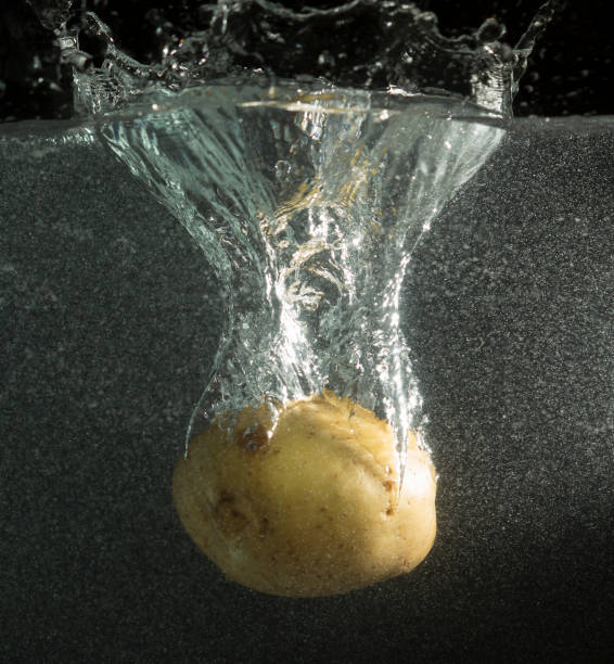 istock Turnip in water with splashes on a black background 879812878