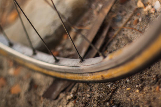 Old rusty child’s bicycle by a tree