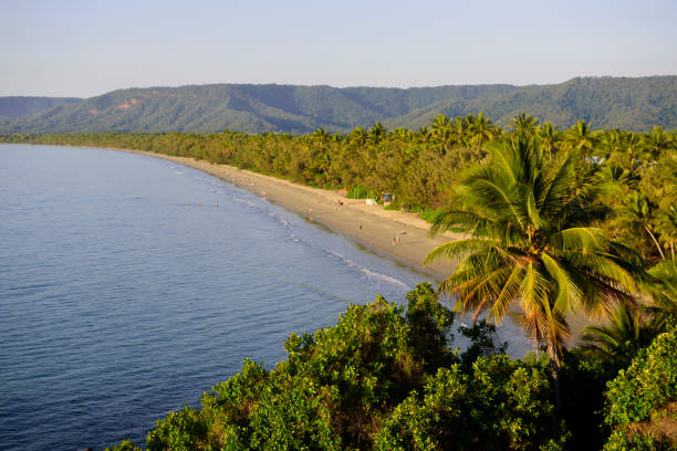 Sunrise at Four Mile Beach, Port Douglas, Australia High angle view at sunrise of Four Mile Beach in Port Douglas, Queensland, Australia port douglas photos stock pictures, royalty-free photos & images