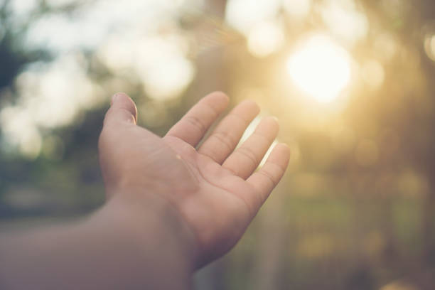 abstract picture of nature hand with sunlight